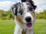 09/26/2004 - 0409 082.jpg