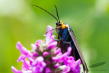 06/26/2015 - _MG_6924.jpg