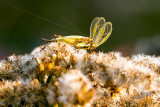 10/07/2015 - _MG_0159.jpg