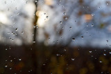 11/13/2015 - _MG_0415.jpg