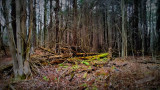 12/26/2015 - Note4_154815.jpg