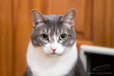 02/06/2016 - _MG_1161.jpg
