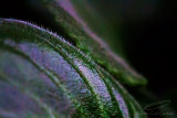 02/21/2016 - _MG_1194.jpg