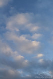03/04/2016 - _MG_1282.jpg