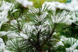 03/21/2016 - _MG_1455.jpg