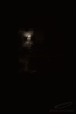 11/09/2016 - _MG_3306.jpg