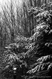 01/24/2017 - _MG_3419.jpg