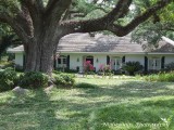 Vermilion Parish - Abbeville - live oaks