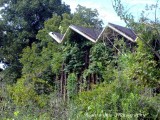 Rapides Parish - Hot Wells resort 