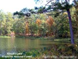 Rapides Parish - Gardner - Kincaid  Lake recreation area -  fall colors