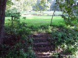 East Baton Rouge Parish = Baton Rouge - Hilltop Arboretum 