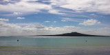 #13 - Rangitoto - an island covered in trees