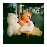 2 - Cuddly Old Bears