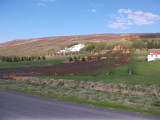 DSCN0237.JPG