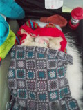 DSCN1018.JPG