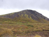 DSCN2002.JPG