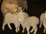 DSCN0830.JPG