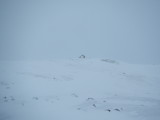 DSCN2216.JPG