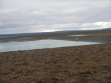 DSCN3811.JPG