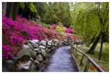 Colorful Walkway