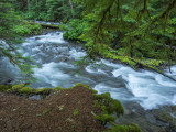 Paradise Park Trailhead to Paradise Park, Mt. Hood, Oregon, U.S.A 2014 07 (Jul) 25