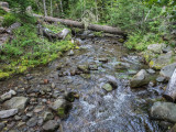 U.S.A., Oregon, Mt. Hood, Elk Cove Trailhead to Elk Cove 2014 08 (Aug) 10