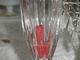 P5010043.JPG