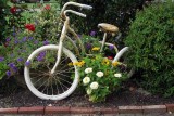 Tricycle and Flowers