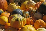 Tiny pumpkins and gourds are also part of the invasion.-ps.jpg