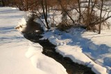 A Meandering Winter Stream