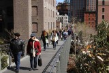 This is a typical view of the High Line.