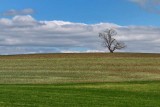 This is Northern Chester County #3