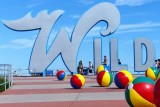 Welcome to the Wildwoods #3
