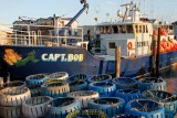 Dock Life:  Capt. Bobs Ship