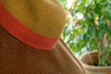 The Sun Hat