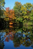 Meadow Pond Reflection at Longwood #2