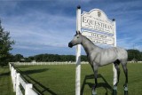 The Woodbine Equestrian Center