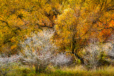 19-IMG_2376pb_io-gb.jpg