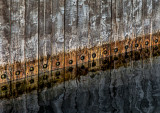 38-_MG_1039-Edit-Edit.jpg