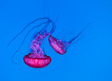 45-_MG_4918-Edit.jpg