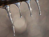 49-_MG_5527-Edit.jpg