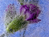 53-_MG_5918-Edit.jpg