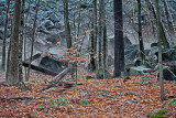 61-_MG_1891-Edit_HDR.jpg