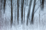 64-_MG_2347-Edit.jpg