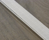 P5010010_1.jpg