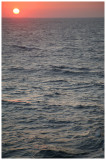 IMG_8886 copy.jpg