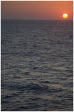 IMG_8895 copy.jpg