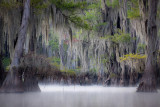 Old Bayou Channel