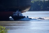 this speedboat seemed to be coming to pick up a pilot