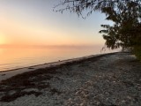 foggy beach at Nathan's Lodge, South Andros